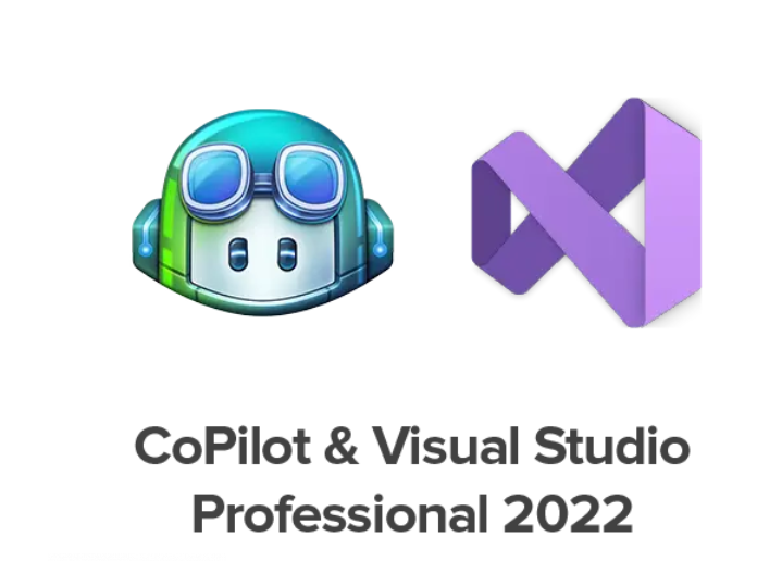 CoPilot & Visual Studio Professional 2022 — Claritus Store - Sabyasachi ...