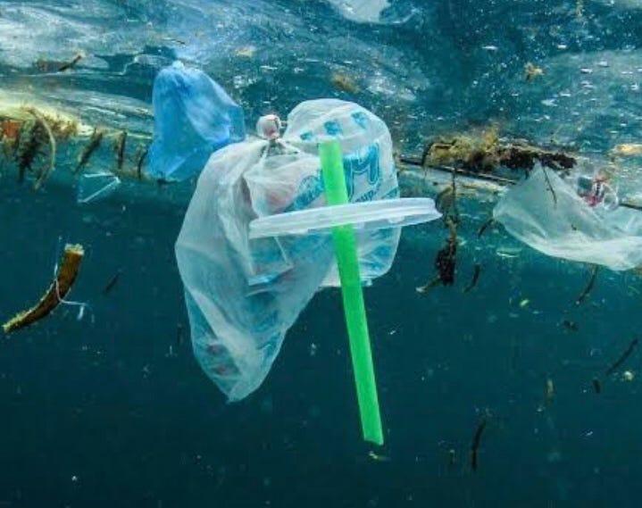 How effective is a ban on single use plastic..? by Scott Douglas 💡🌱🌏 by GLF Medium