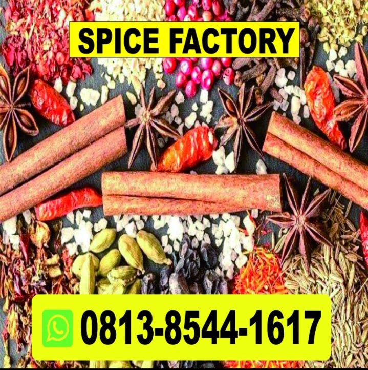 SUPPLIER CENTER CALL +62813 8544 1617, GINGER SUPPLIER COMPANIES IN