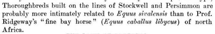 https://archive.org/details/cat11088167_1910