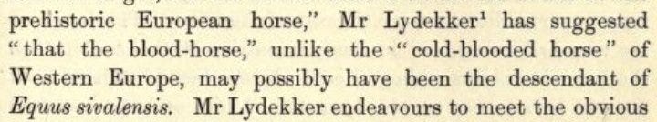 The origin and influence of the thoroughbred horse pg 143