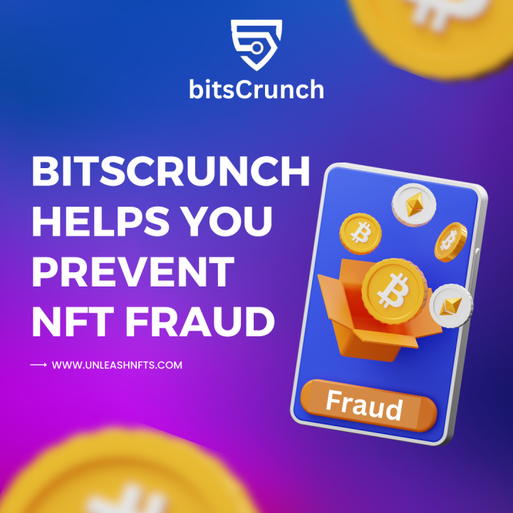 Navigating the Murky Waters of NFT Fraud How to Protect Yourself by