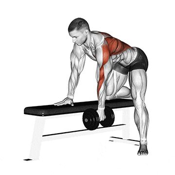 Reverse grip pulldown dumbbell alternative hotsell