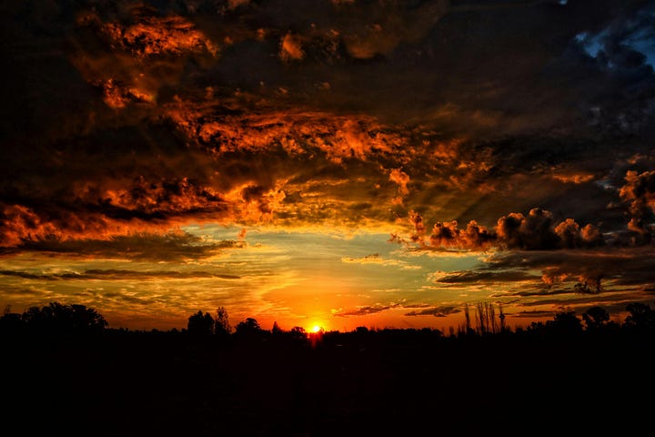 An open book lying face down on a blanket in a field at sunset, as if the reader has just gotten up after a long session, inviting a sense of continuation.