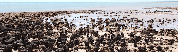 Bis nach Perth. Perth, WA by Andre Sander Medium