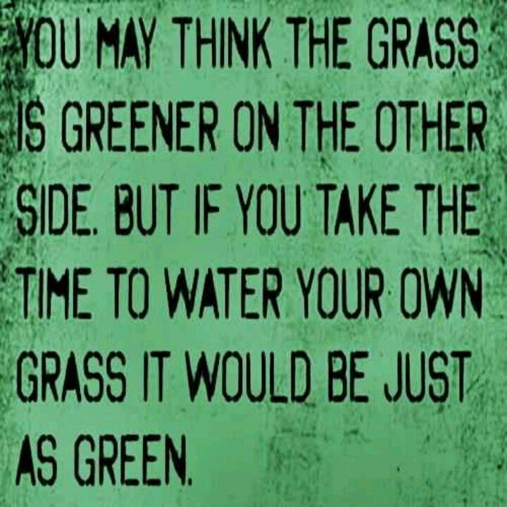 Do You Suffer from Grass is Greener Syndrome? by MEGAN G. Medium