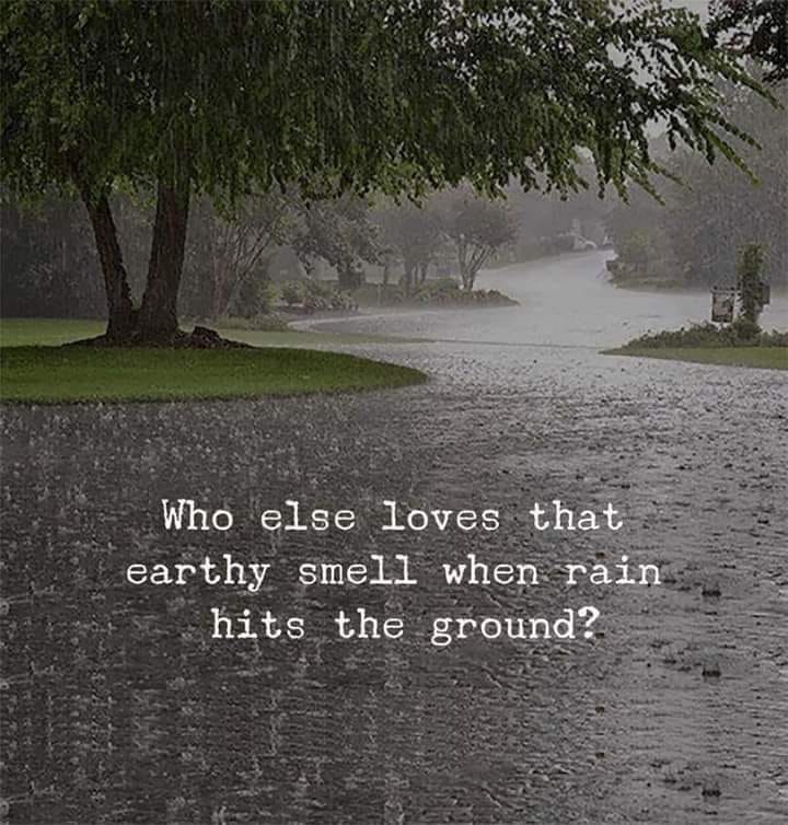 Earthy Smell by Viktoria Anabel Medium