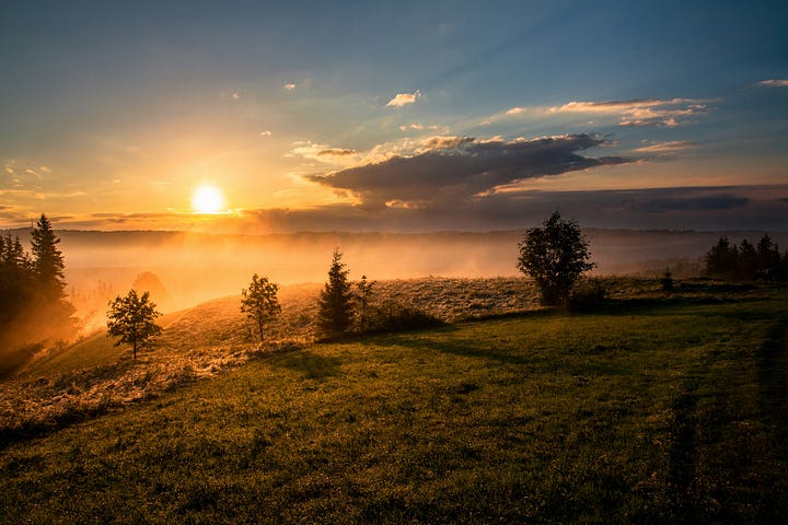 The sun rising over a misty landscape, symbolizing a new beginning and fresh perspective.