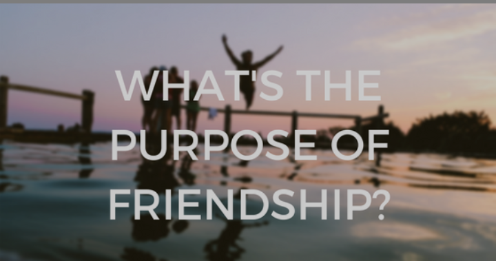 What Is Friendship?