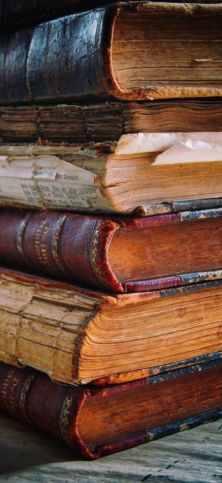 bir sürü kitap tır insan