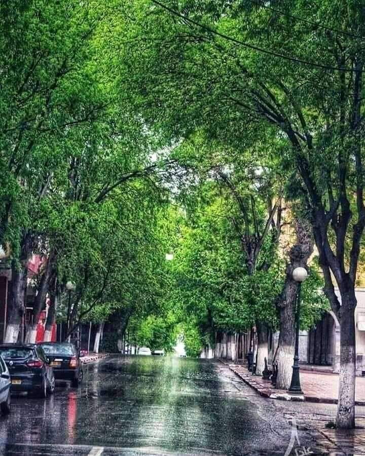 Move you are not a tree. Movement is a part of life. It’s a… by Roshd