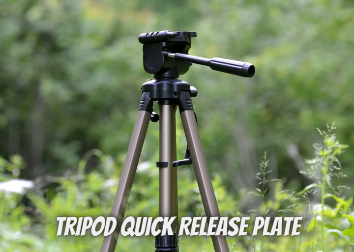 Tripod Quick Release Plate 4 Optimizing Your Best Camera Settings IT Sibi News  Portal