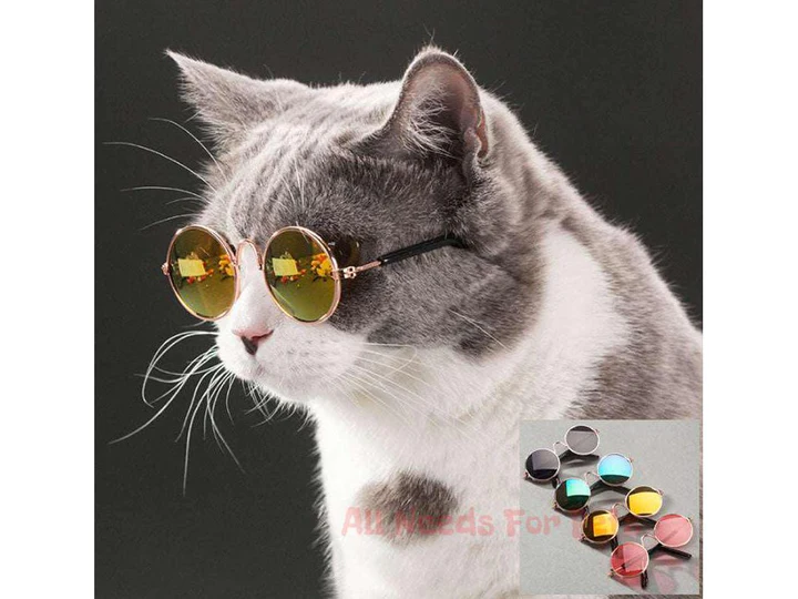 sunglasses for cats. What’s the best way to get your cat to… by