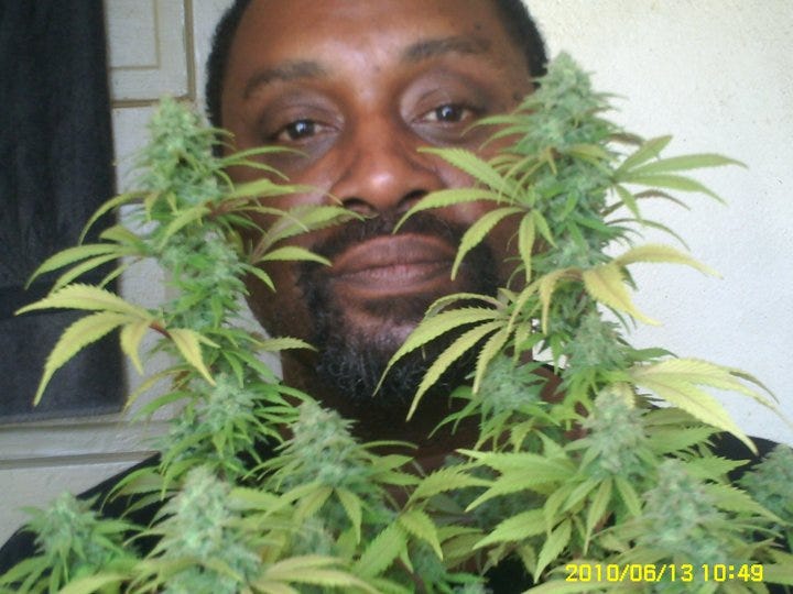 MONK’S HERB’N LOUNGE. Monk’s Herb’n Lounge will be a… by Heidi Joy
