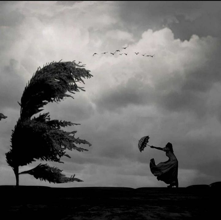Gust of wind