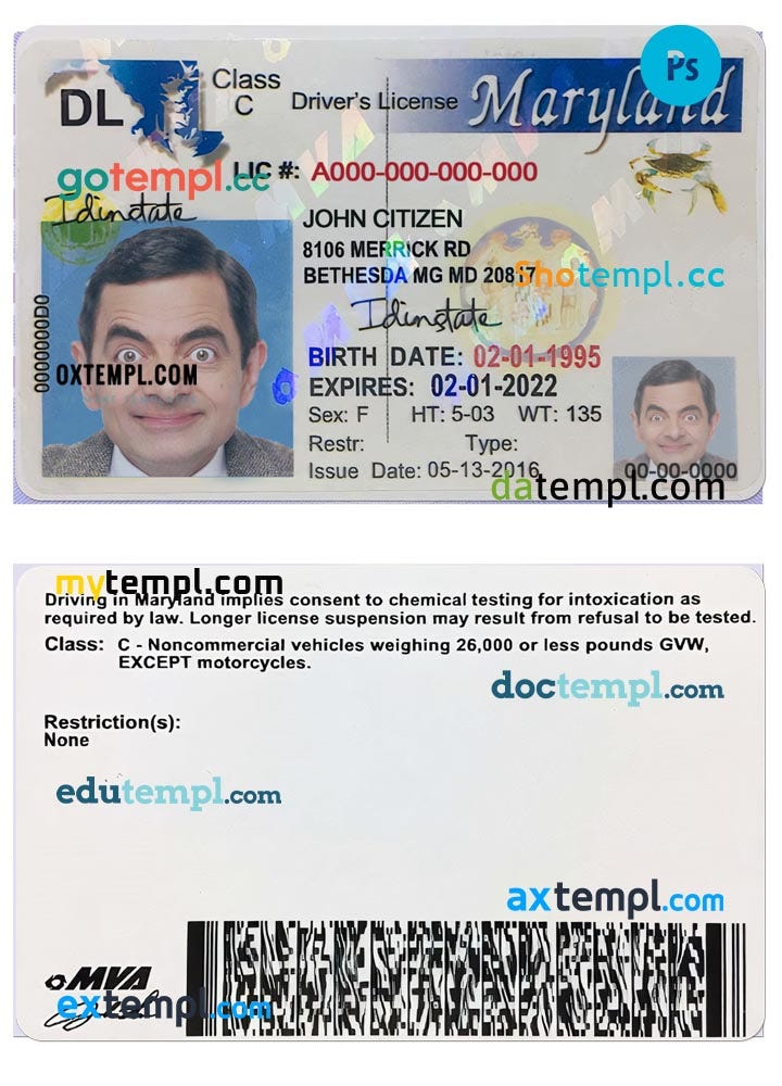 USA Maryland driving license template in PSD format, 20032016 by