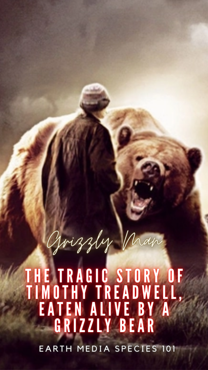 Timothy Treadwell’s Final Day with Grizzly Bear by YouTube Earth