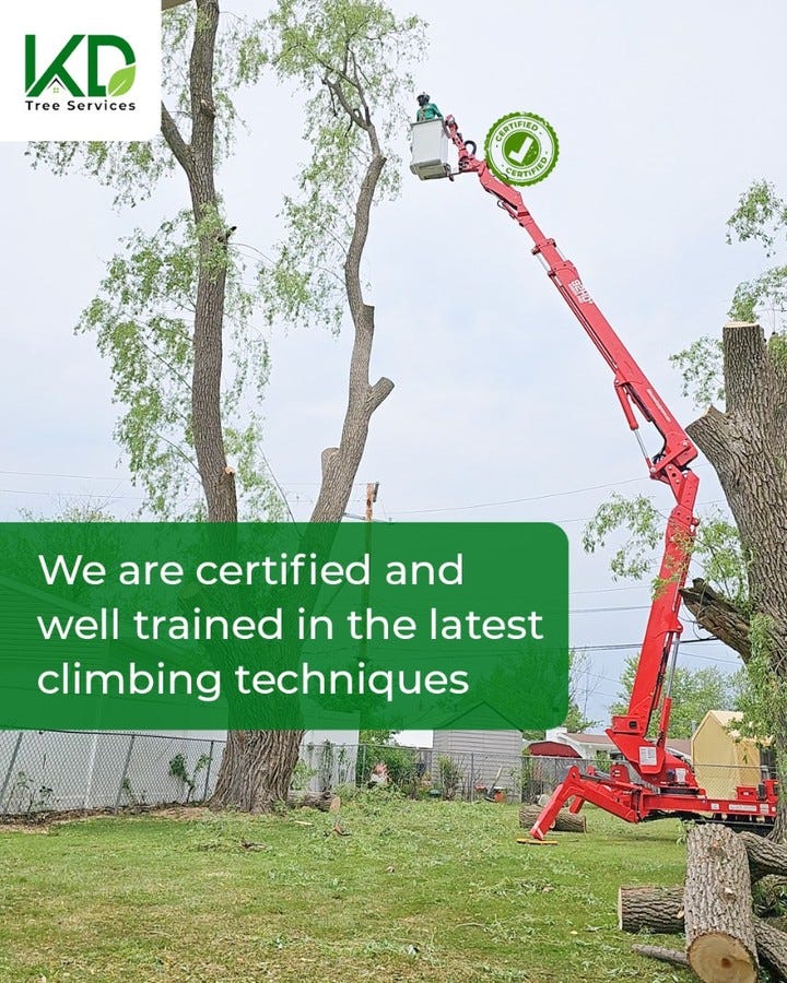 Tree Service Syracuse NY KD Tree Syracuse NY Medium