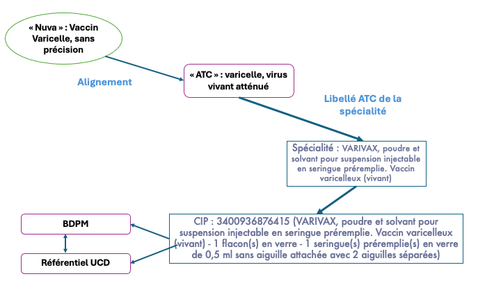 Une représentation des alignements/relations autour du “Vaccin Varicelle (VAC0159)” dans le SMT.