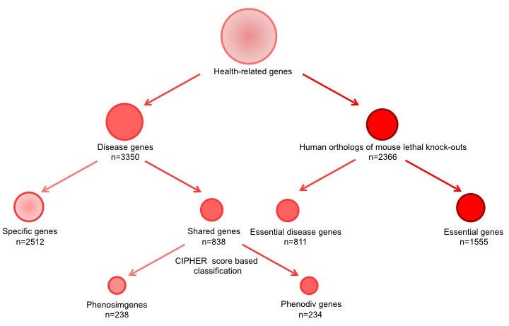 The Role of Genetics in Human Diseases | by Afaq Mujeeb | Medium