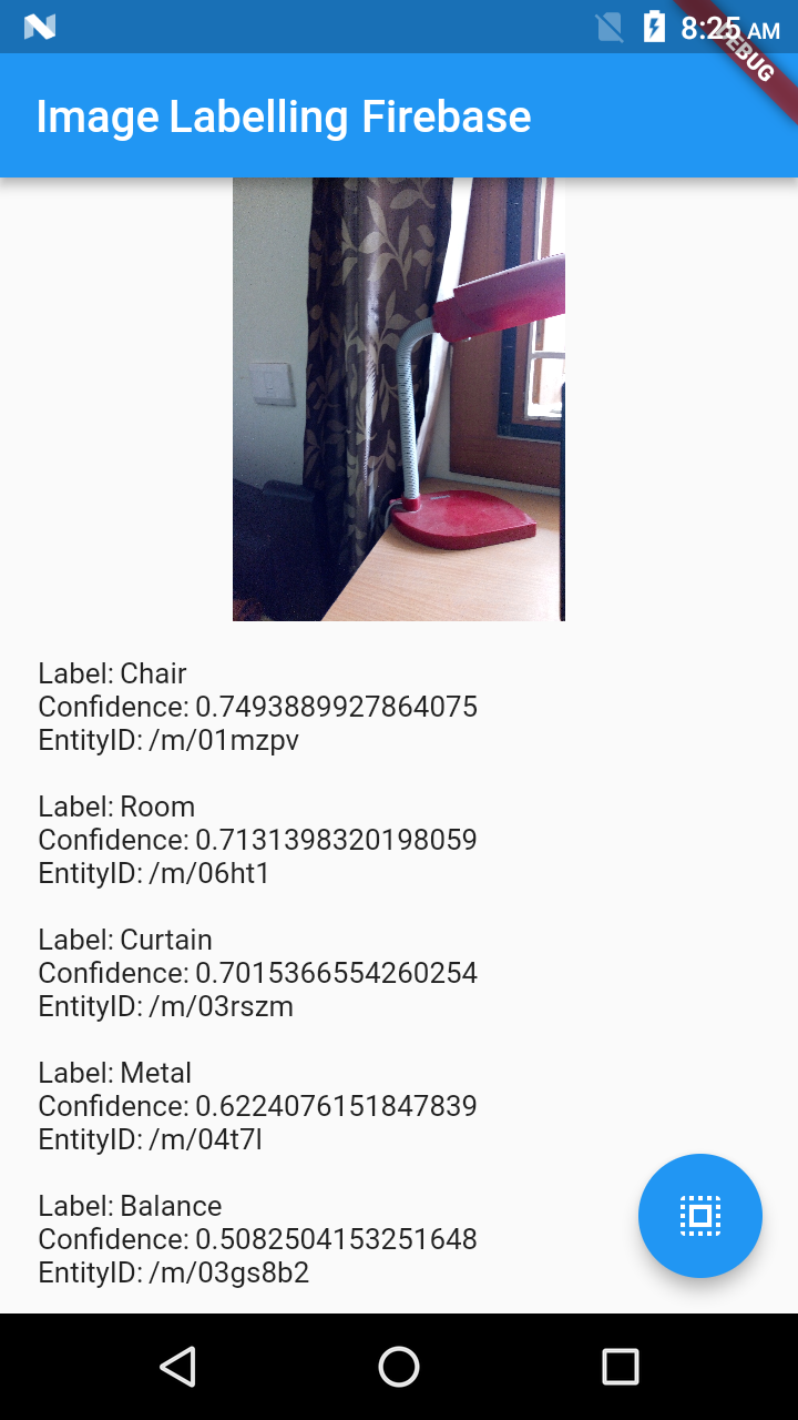 ML Kit and Image Labeling in Flutter CodeChai