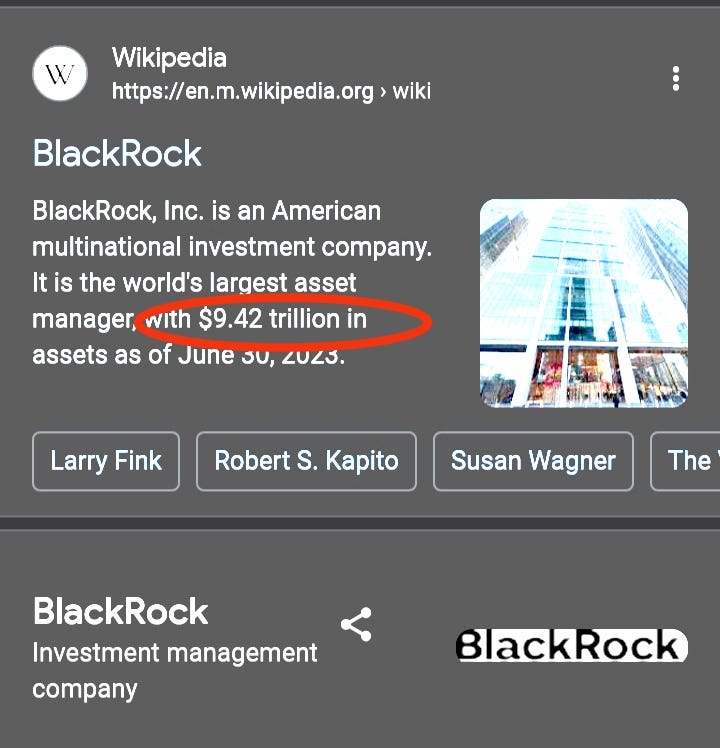 10 Reasons That BlackRock Is Controlling Billionaires & World May Be...👀👀  | by Guys Money | Feb, 2024 | Medium