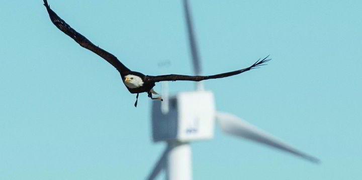 Episode 24 — Blowing in the Wind. An Eagles Nightmare — Unintended Consequences — Chapter 9 Part 1