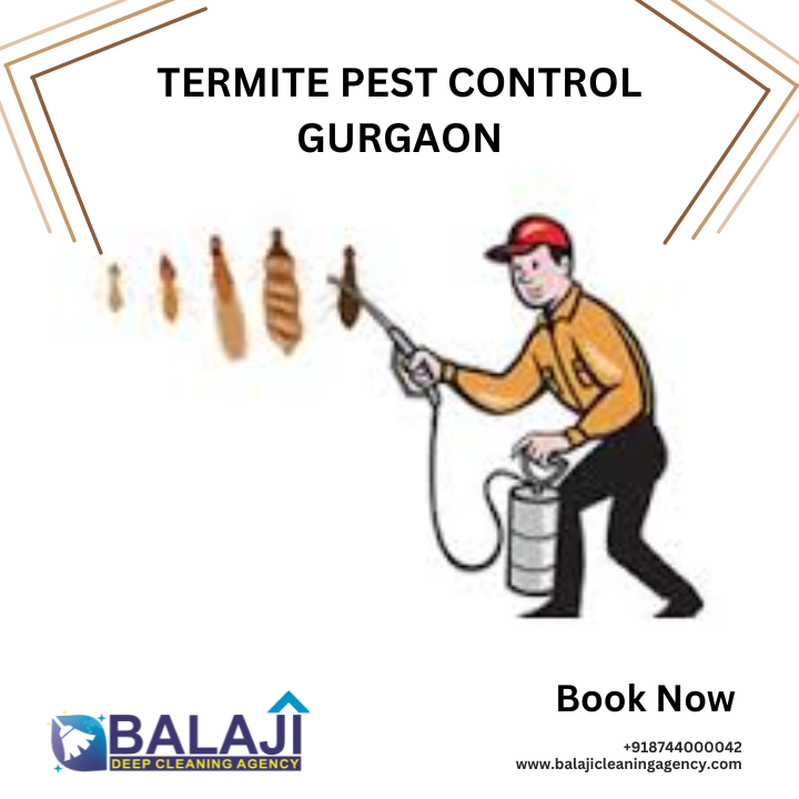Termite Pest Control Gurgaon balajicleaningagency Medium