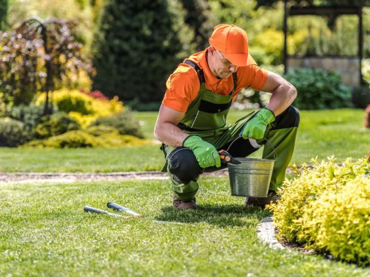 The Benefits Of Hiring A Landscape Maintenance Company Near Me by
