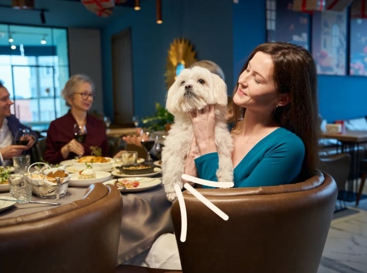 Waar vind ik hondvriendelijke Restaurants?