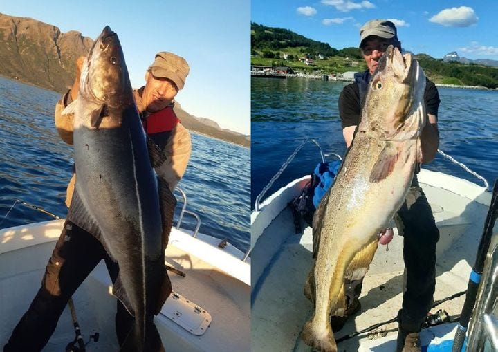 Astafjord Adventure i Hamnvik
