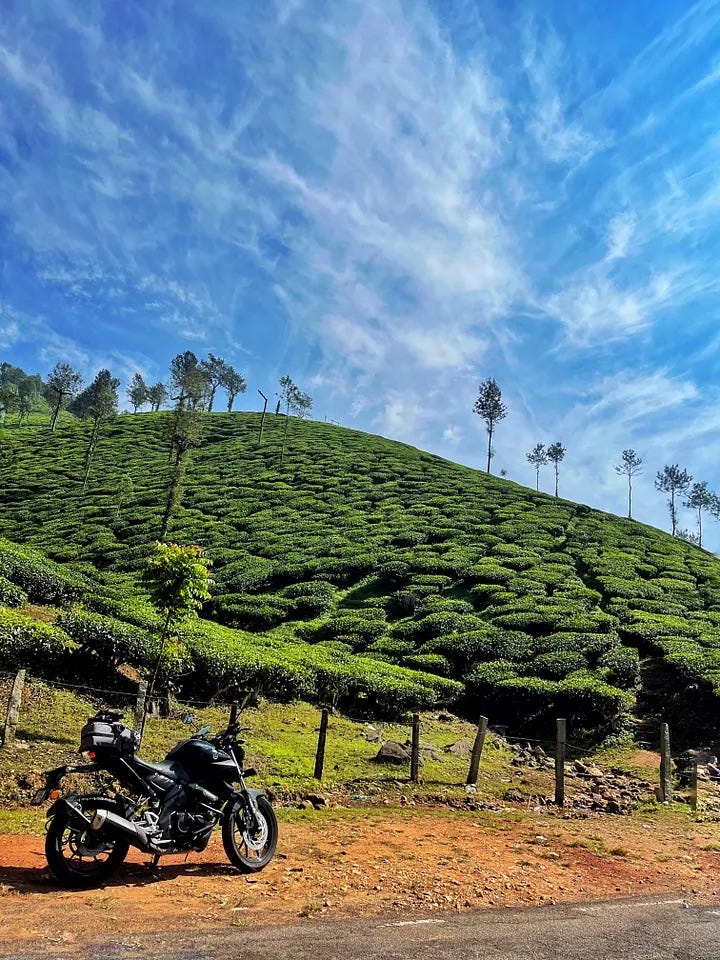 Somewhere amongst the coffee plantations in Kudremukh