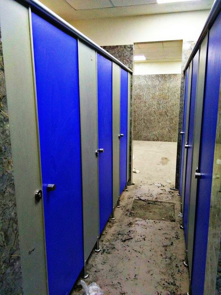 Privacy Redefined A Guide to Exceptional Toilet Partitions by