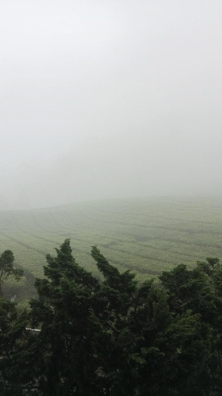 Zona Kabut