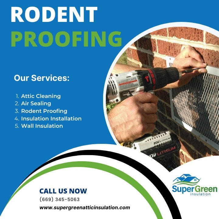 Tired of Unwanted Guests? Evict Pests with SuperGreen Insulation’s