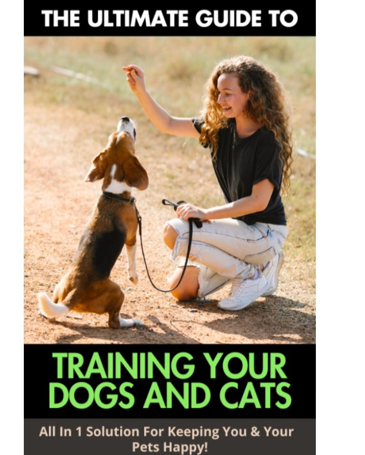 Ultimate Guide Training Your Dogs And Cats by LYELYE Nov, 2023