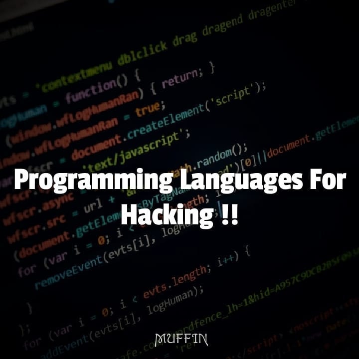Which Programming Languages Do Hackers Use?