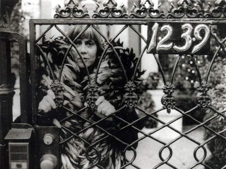 The Immortal Pen of Gothic Literature: A Biography of Anne Rice | by ...