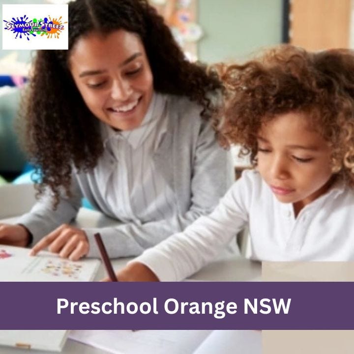 Nurturing Young Minds Seymour Preschool And Childcare In Orange, NSW by Seymour Street Early