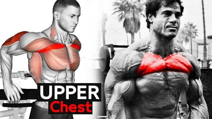 Chest Exercise, Full Chest Workout
