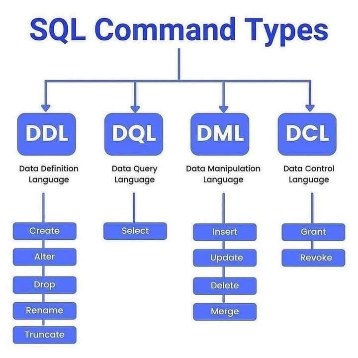 How does a person can interact with the database by using SQL ...
