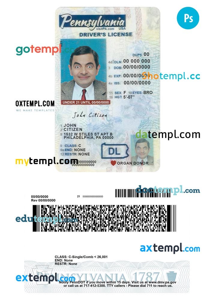USA Pennsylvania state vertical driving license editable PSD template