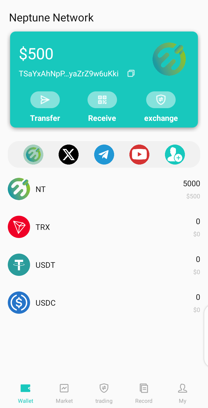 Neptune Network is a truly decentralized network created by Anthony