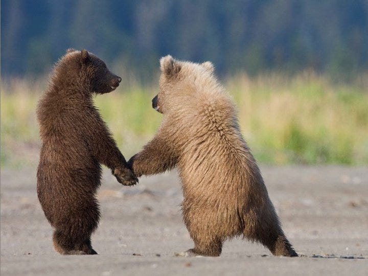 We Help Each Other