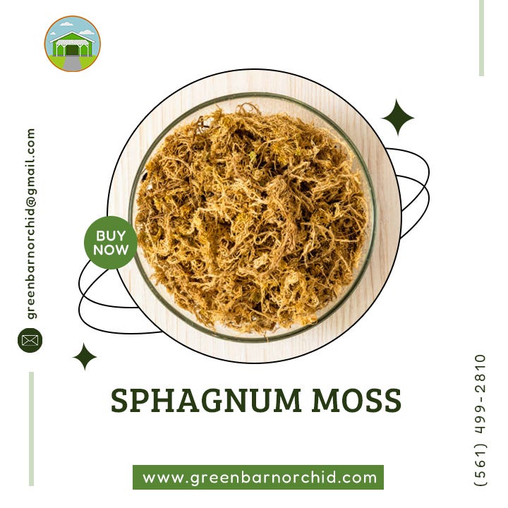 Sphagnum Moss — Enhance Your Gardening with Green Barn Orchid