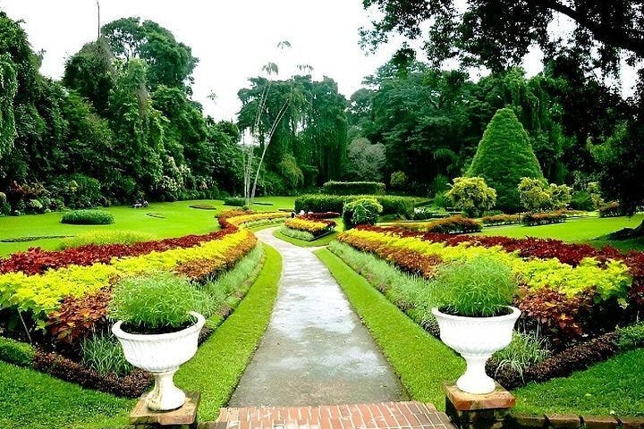 Caption: Royal Botanic Gardens, Peradeniya —traces its roots to 1371 as a royal pleasure garden for the Kingdom of Kandy.
