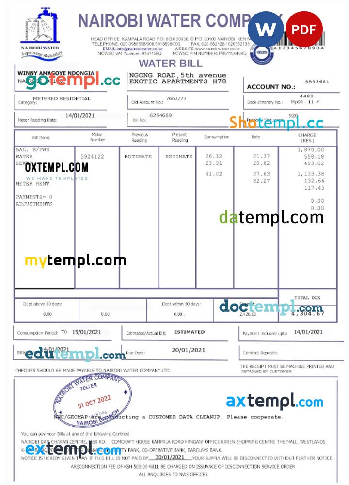 KENYA NAIROBI WATER utility bill Word and PDF template | by Shotempl ...