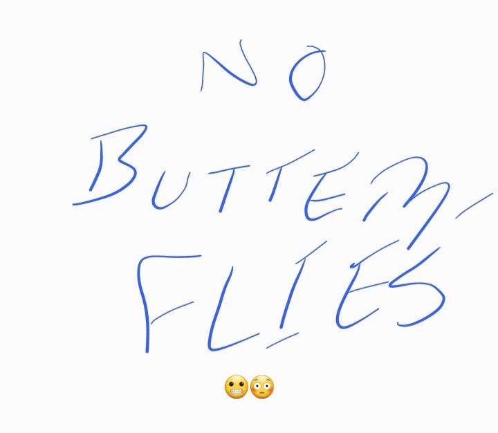 Opinions on Butterflies. From a Lepidopterophobe’s Perspective by Ms