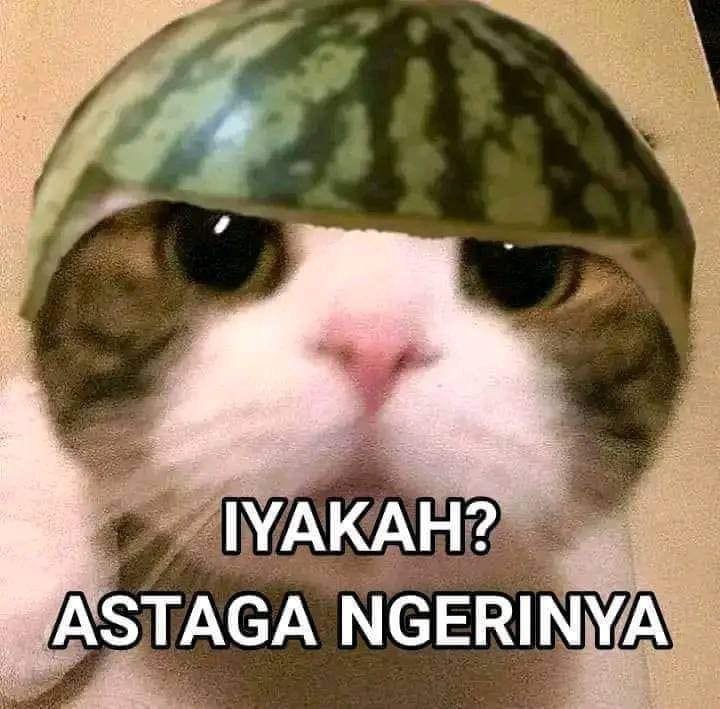 Bekasi, Saya Mau Laporan