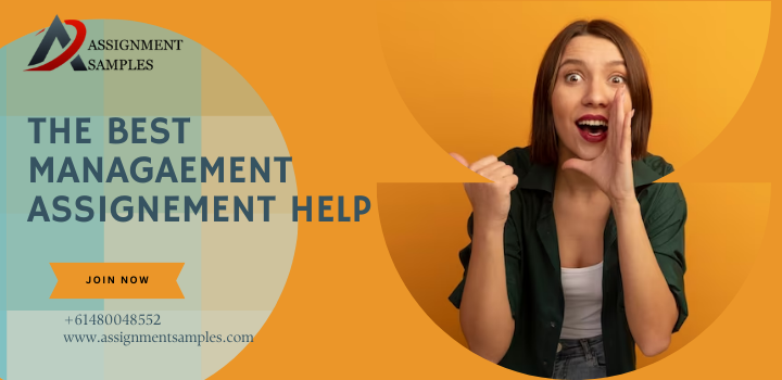 Navigating the Depths of Management Studies: A Comprehensive